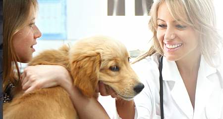 Low Cost Pet Vaccination Clinic